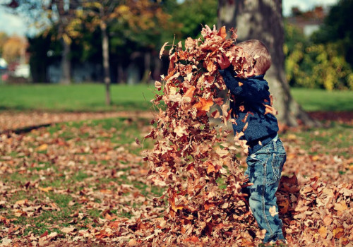 Tuinklussen in september en oktober? Lees onze tips!